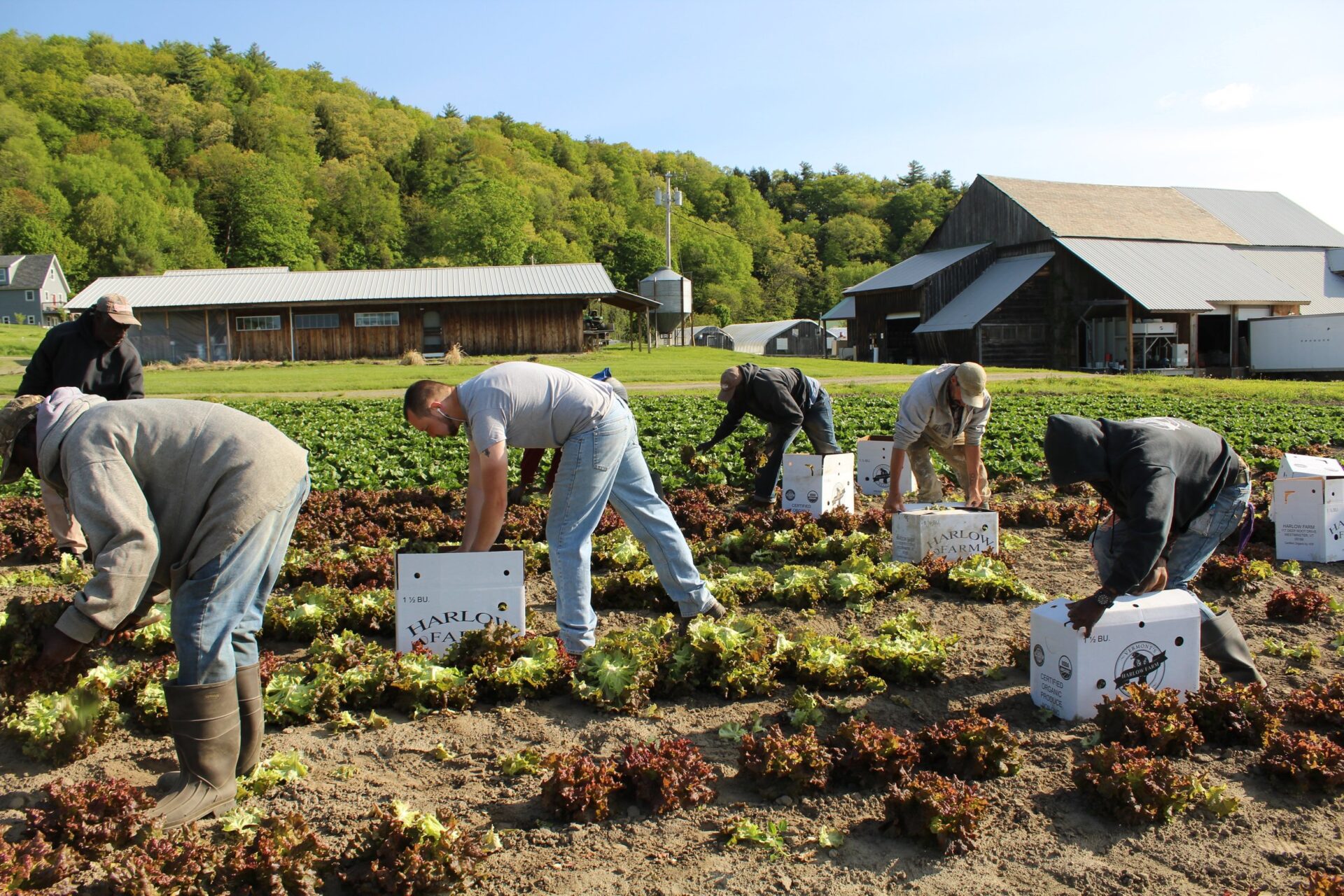 Meet the Farmers - Fresh Start Farms